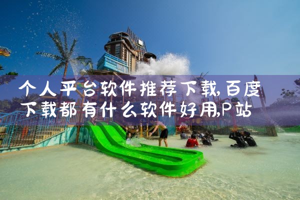 个人平台软件推荐下载|P站专业版