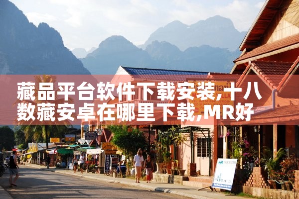 藏品平台软件下载安装|MR好色