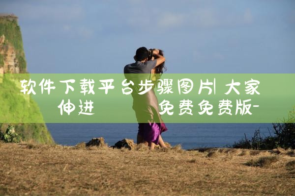 软件下载平台步骤图片|MR好色