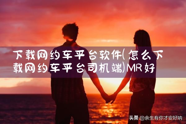 下载网约车平台软件|MR好色