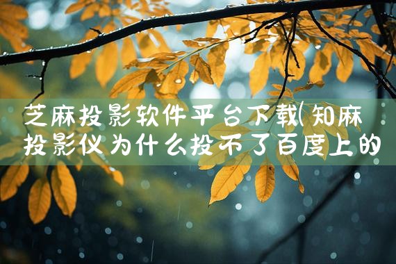 芝麻投影软件平台下载|P站专业版