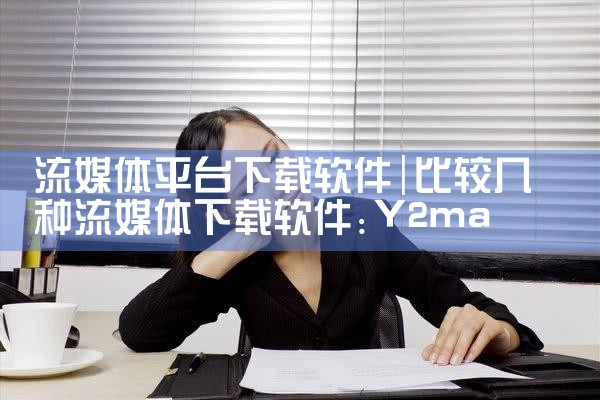 流媒体平台下载软件|糖心Vlog