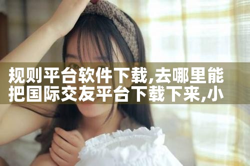 规则平台软件下载|小蓝视频