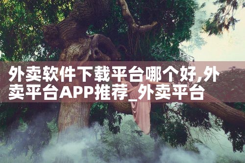 外卖软件下载平台哪个好|MR好色