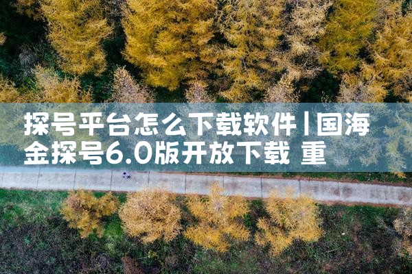 探号平台怎么下载软件|P站专业版