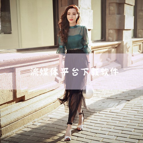 探索流媒体下载世界的五星级矩阵：Y2mate.ch、StreamFab、Audials、PlayOn和AnyStream，每个工具都拥有独特的特性和优势，让我们一一道来。1. Y2mate.ch - |糖心Vlog