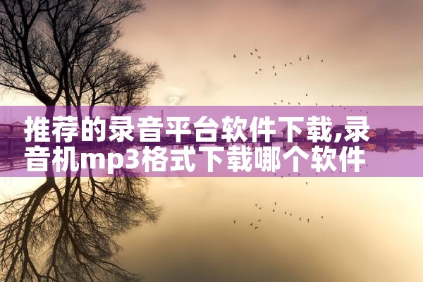 推荐的录音平台软件下载|MR好色