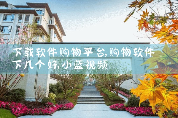 下载软件购物平台|小蓝视频