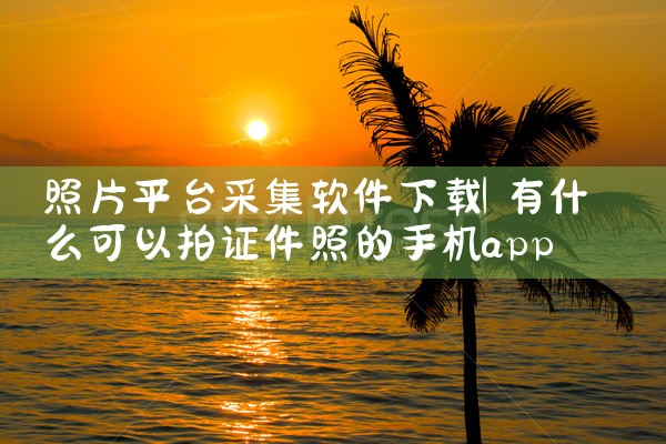 照片平台采集软件下载|欲漫涩