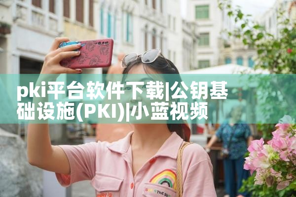 pki平台软件下载|小蓝视频