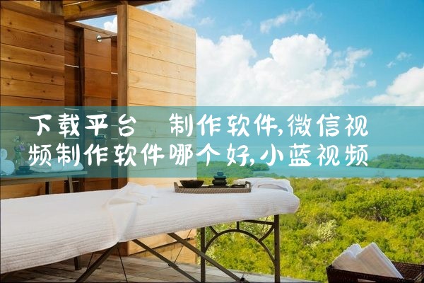 下载平台 制作软件|小蓝视频