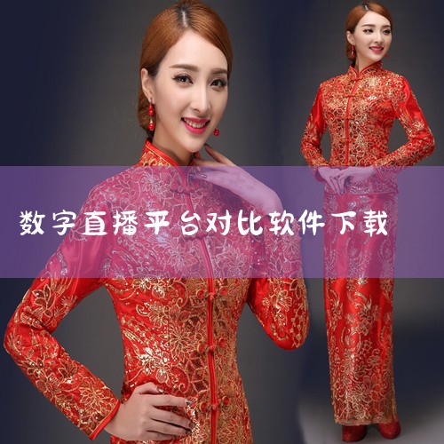 2025年好用的数字人直播软件有《数字人直播》《数字人克隆分身》《熊宝数字人》《虚拟数字人》《数字人主播》。《数字人直播》是移动端高效直播工具，支持电商带货、企业运营等多场景，可同步至第三方平台，具备|P站专业版