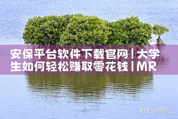安保平台软件下载官网|MR好色